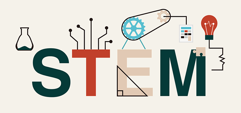 STEM_1.gif