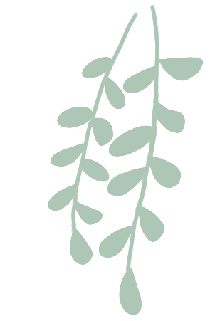 1711936542811442.gif